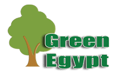 جرين ايجيبت
